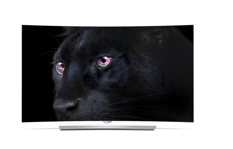 LG 65'' (164cm) Class pouces | OLED Ultra HD 4K | SMART TV WebOS 2.0 | Design Art Slim | 3D TV | 3 entrées HDMI | 3 ports USB | Son Harman Kardon, 65EG960V